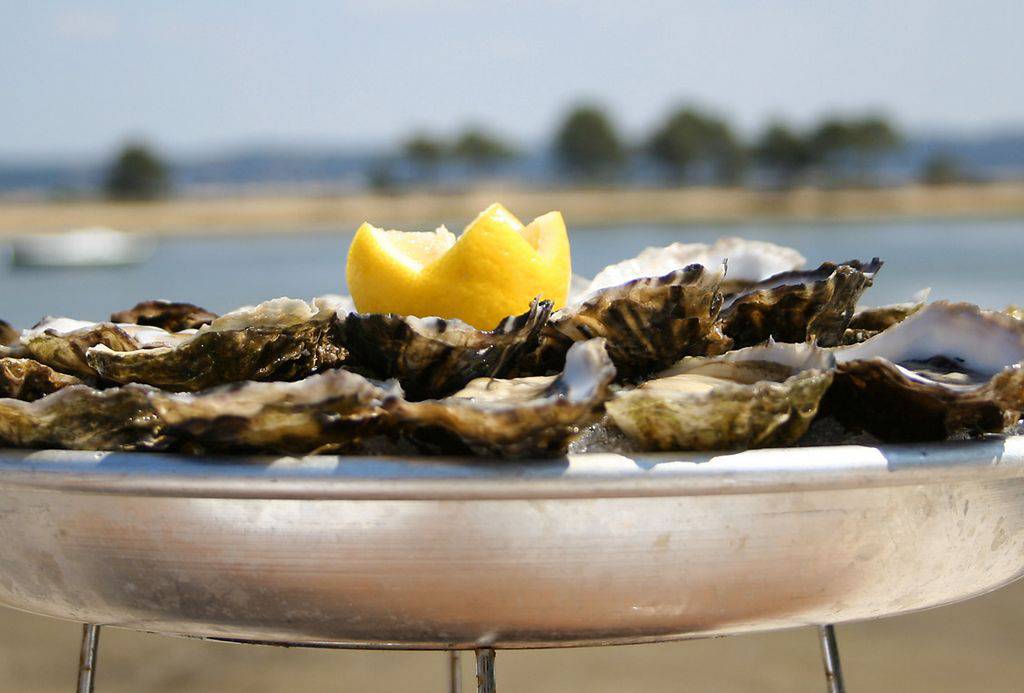 Quels sont les meilleurs endroits pour manger des huîtres en France ?