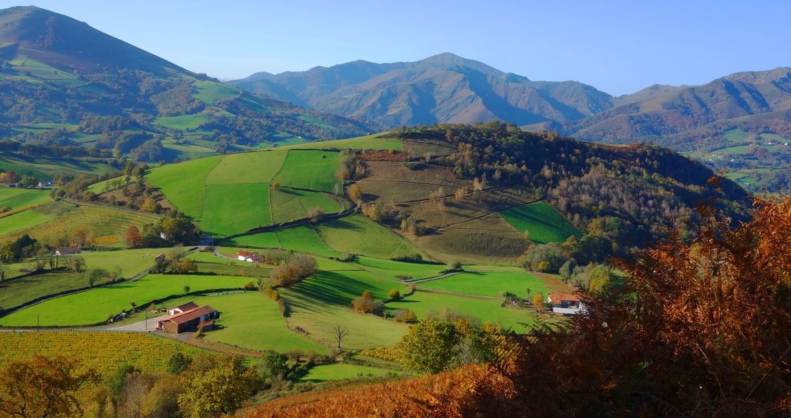 Que peut-on faire à proximité de Labourd, au Pays Basque ?