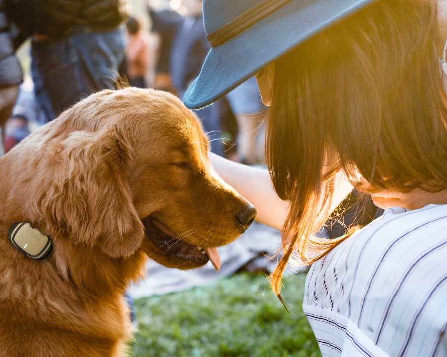 5 bonnes façons de prendre soin de votre chien