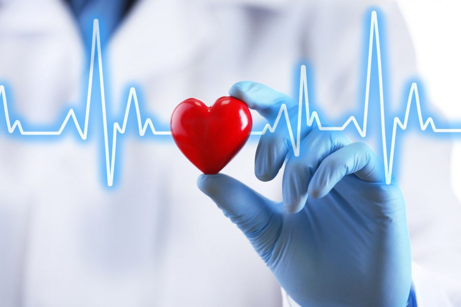 Cardiologie : comment prendre soin de son cœur ?